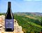 Vinho Gamla Pinot Noir 750ml - Colinas de Golã - Imagem 2