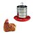 Kit 2 unidades Comedouro 3Kg + 2 unidades Bebedouros 5 Litros - Imagem 3