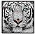 Quadro Decorativo Barcelona Tigre Branco PB 30x30cm - Imagem 1