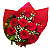 Buquê com 10 Rosas Vermelhas - Imagem 1