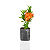 Ixora Mini Vermelha - Imagem 1