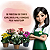 Kalanchoe Pote 11  # - Imagem 3
