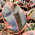 Ficus Elástica Ruby Vaso 24cm – Planta para Ambientes Internos - Imagem 3