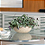 Vaso Bacia Sicília 12 – Design Elegante para Uso Interno e Externo - Imagem 7