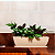 Prato Jardineira 80cm - Bege Afort p/ Vaso Retangular - Imagem 2