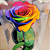 Rosa Eterna - A Bela e a Fera -Presente Perfeito - Imagem 19
