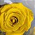 Rosa Eterna - A Bela e a Fera -Presente Perfeito - Imagem 18