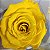 Rosa Eterna - A Bela e a Fera -Presente Perfeito - Imagem 17