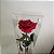 Rosa Eterna - A Bela e a Fera -Presente Perfeito - Imagem 14