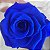 Rosa Eterna - A Bela e a Fera -Presente Perfeito - Imagem 12