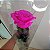 Rosa Eterna - A Bela e a Fera -Presente Perfeito - Imagem 9