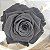 Rosa Eterna - A Bela e a Fera -Presente Perfeito - Imagem 5