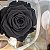 Rosa Eterna - A Bela e a Fera -Presente Perfeito - Imagem 4