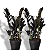 Kit 2 Zamioculcas Black – Pote 15 – Planta Rara de Luxo - Imagem 1