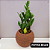 Kit 2 Cachepot Terrano Búzios + 2 Zamioculcas Pote 9 - Imagem 8