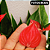 Anturio Mini (Anthurium Mini Milion) Pote 09 - Imagem 5