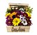 Baú de Flores do Campo com Chocolates Ferrero Rocher - Imagem 1