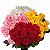 Buquê de Rosas Coloridas - 50 Unidades - Imagem 1