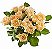 Buquê de 12 Rosas Champanhe - Imagem 1