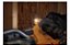 ASPIRADOR DE PO PORTATIL  20V MAX - DCV501HB-B3 - Imagem 2