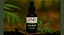 Tintura de Artemísia 30 ml - Natura Veda - Imagem 1