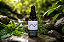 Tintura de Mentrasto 30 ml - Natura Veda - Imagem 1