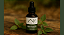 Tintura de Mentrasto 30 ml - Natura Veda - Imagem 1