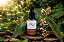 Tintura de Canela de Velho - 30 ml - Natura Veda - Imagem 1