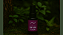 Perfume das Flores - Leveza - Imagem 1