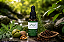 Bland Desparasita - tintura - 50ml - Imagem 1