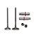 Valvula Guia E Retentor Kit (6pcs) Ww3 Fazer 150 14/ Xtz 150 - Imagem 1