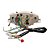 Painel Comp. Instrumentos Condor Biz 125 05 A 08 Ks - Imagem 2