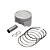 Pistao Kit C/anel Rik Premium Xre 190 16/ 0.50 - Imagem 1