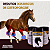 Nitro Horse Condro-Equi 500g - Regeneração Articular - Imagem 9