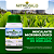 Nitro Silo 100g Inoculante para silagem - Imagem 4
