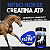 Suplemento para Cavalo Nitro Hourse Creatina ATP 500g - Imagem 5