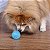 Brinquedo Jambo para Cães Bola Espinho com Som Azul - Imagem 3