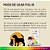 Suplemento Avert Foli B para Cães e Gatos - 30 ml - Imagem 6