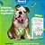Suplemento Avert Up Flora para Cães e Gatos - 8 Cápsulas - Imagem 5