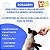 Agemoxi CL Agener União 250mg - p/ Cães e Gatos - 10 Comprimidos - Imagem 7