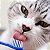 Kit de Saúde Oral Virbac Pasta e Escova para Cães e Gatos - Imagem 7