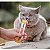 Purê Inaba Churu para Gatos Adultos sabor Galinha com Aroma de Camarão - 56g - Imagem 5