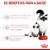 Ração Royal Canin Mother & Babycat para Gatas Gestantes e Lactantes e Filhotes de 1 a 4 Meses de Idade - 1,5Kg - Imagem 4