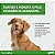 Solução para Limpeza Auricular Surosolve Elanco para Cães e Gatos - 125ml - Imagem 6