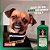 Shampoo Sanol Dog Cães Citrus Grande Porte- 500ml - Imagem 3