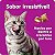 Petisco Whiskas Temptations Anti Bola de Pelo para Gatos Adultos - 40g - Imagem 4
