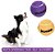 Brinquedo Jambo Bola de Tênis para Cães c/ 2 Unidades - Imagem 6