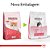 Ração Royal Canin Cat Premium Kitten Gatos Filhotes - 10,1Kg - Imagem 4