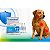 Traumeel uso Veterinario - Injetavel 5ml c/ 5 Ampolas - Imagem 9