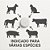 Zeel Veterinário - 50 Comprimidos - Imagem 9